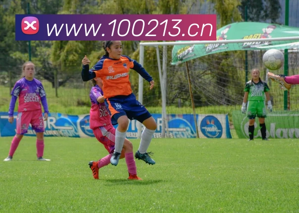 开云网页版登录入口手机版APP 封面图